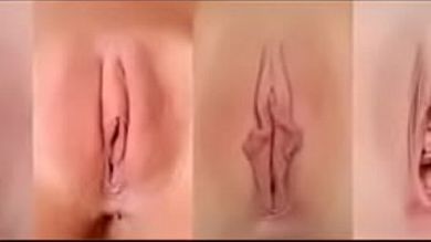 Калейдоскоп фотографий самых разнообразных кисок снятых крупным планом